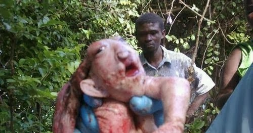 nude young midget girls the rael monkey fuck a women